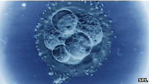 Superfertilidad