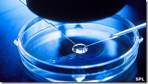inseminacionartificial