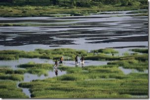 lagodelabrea