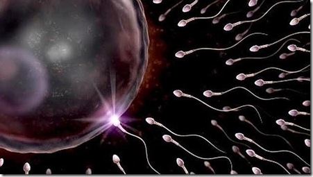 semen