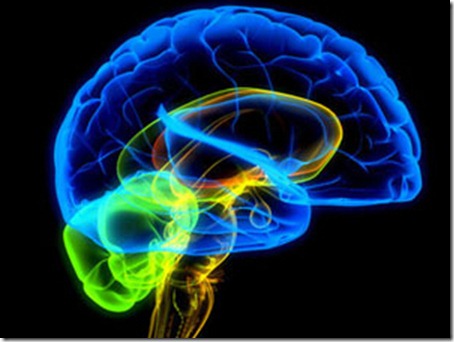 cerebro-leer