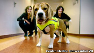 Cliff, el perro médico