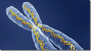 El estudio surgió del Proyecto 1.000 Genomas.