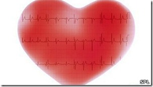 Los investigadores crearon un funcional marcapasos dentro del corazón.