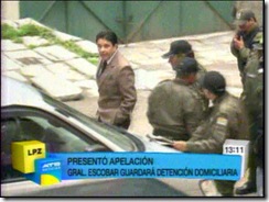 ostreichersuxouribe20