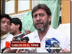 pintoevo7