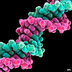 Si se mantiene en un sitio fresco, seco y oscuro, el ADN puede conservarse por miles de años.