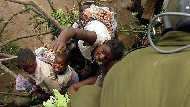 Quince mil cocodrilos se escapan de una granja en Sudáfrica Quince mil cocodrilos se escapan de una granja en Sudáfrica