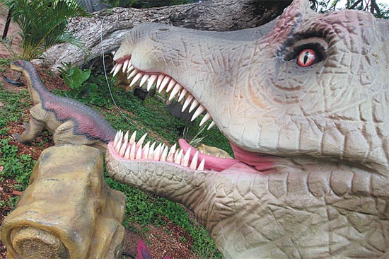 Criaturas atractivas un espectáculo casi real Los reptiles en exposición tienen movimientos y emiten sonidos, con lo que se busca que los espectadores se sientan casi en la prehistoria