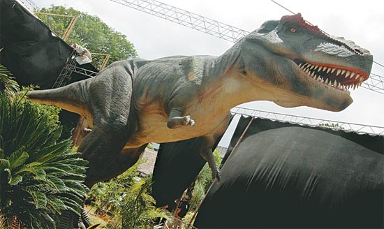 Los 16 ejemplares en exposición representan a varias de las especies que vivieron en la época jurásica
