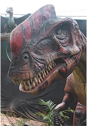 dinosaurio5