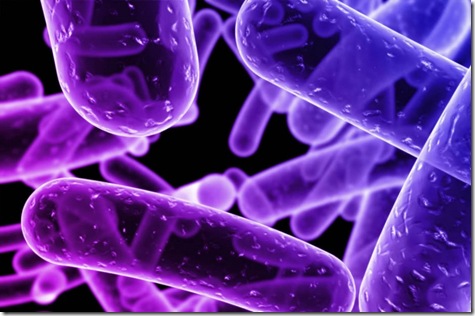 Crean-un-biosensor-con-nanotecnología-que-elimina-bacterias-de-la-comida--800x531