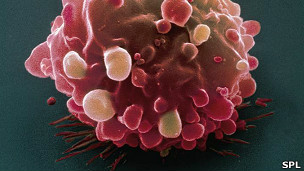 Científicos descubrieron que es cuando la célula cancerígena se estresa que ocurre su diversificación.