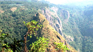 La devolución de la gestión a las comunidades locales ha sido muy positiva en Asia.