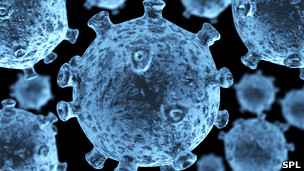 El virus de la inmunodeficiencia humana (VIH) ataca al sistema immune y causa el sida.