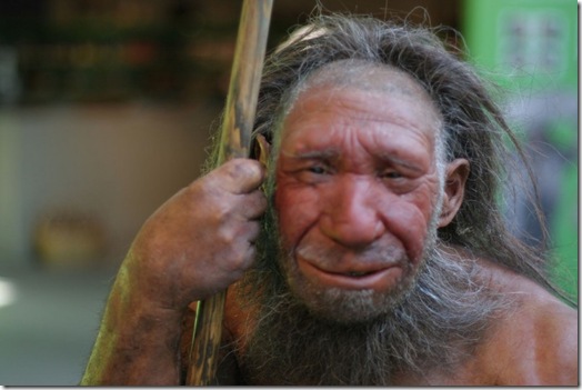 neanderthal-800x532