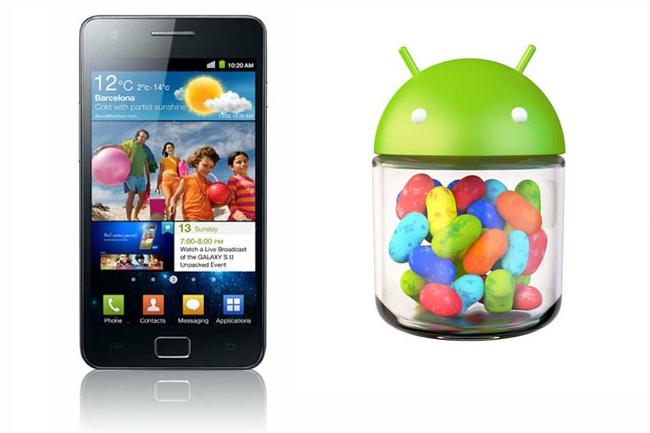 Samsung Galaxy SII Jelly Bean