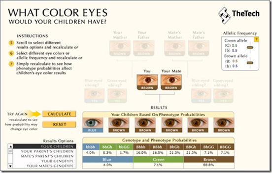 calculadora-color-ojos-hijos