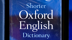 Varios diccionarios han incluído entre su vocabulario términos de uso frecuente en los escenarios digitales.
