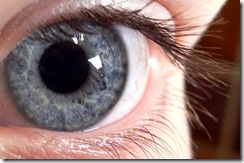 Blue-eye