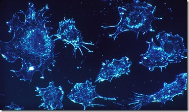 Cancer-cells