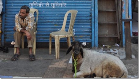 INDIA7