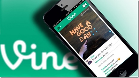 vine-principal-800x450