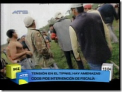 violenciatipnis3