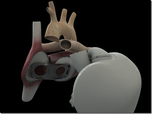 Heart-cow2