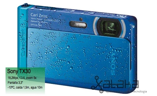 Sony TX30