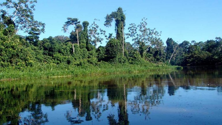 Parque nacional Yasuní
