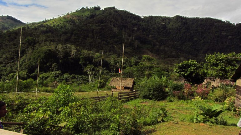 Parque nacional Yasuní