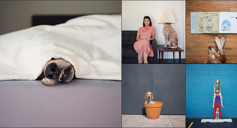 10 usuarios de Instagram con fotos realmente interesantes thiswildidea