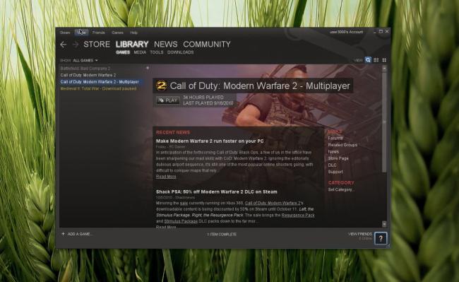Steam en Linux