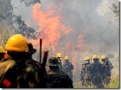 clip_image001 clip_image001