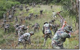 clip_image001 clip_image001