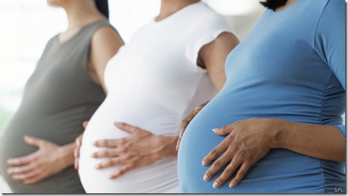 fertilidad