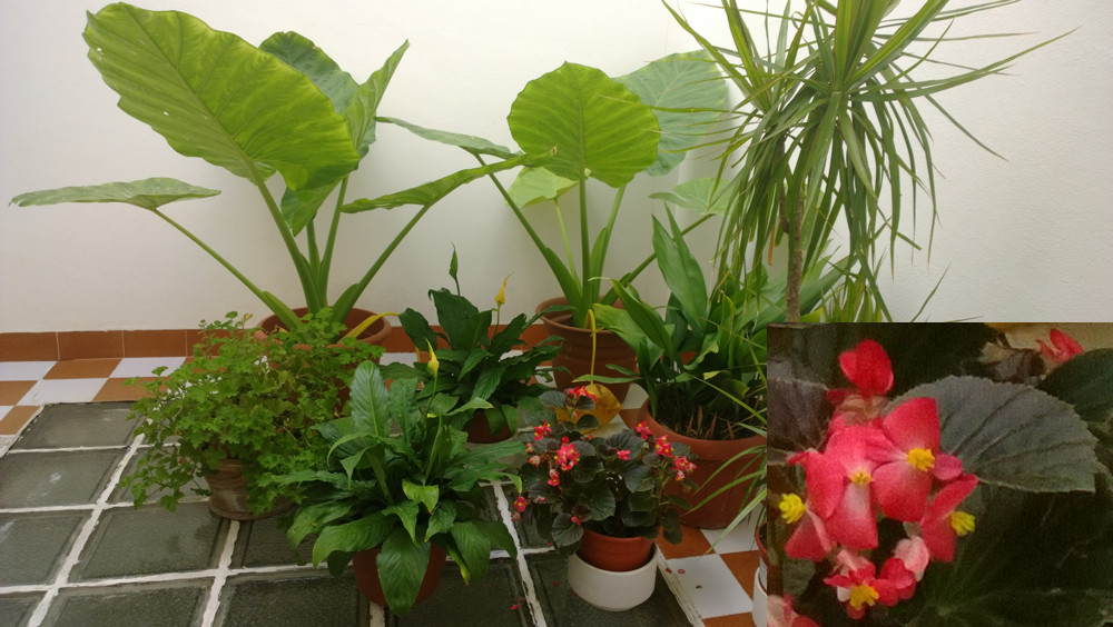 Lumia 1020 escena 3
