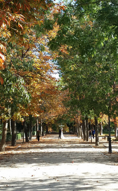 boda en el retiro note 3