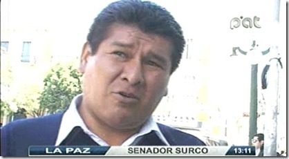 apolococales28