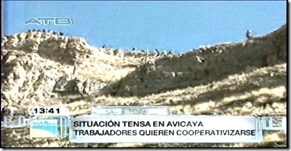 apolococales35