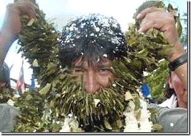 coca.cocalero