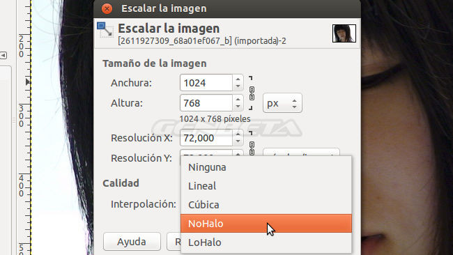 GIMP 2.9 herramientas de escalado