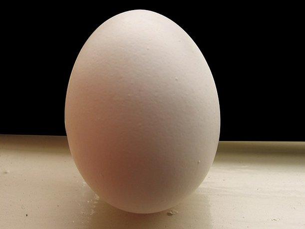 Día Mundial del Huevo: ¿Por qué es bueno consumir este alimento?