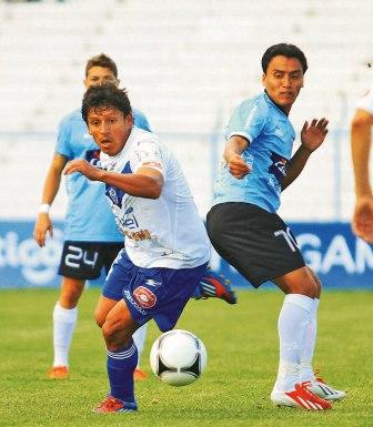 Blooming-cae-luchando