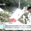 cocaincautada-aparece2.jpg