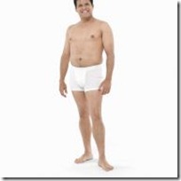 endomorfos