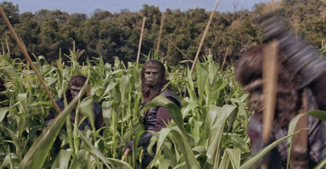 El planeta de los simios 2