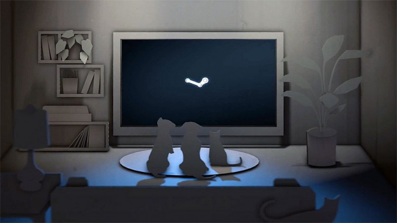 steam