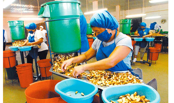 Cadex pide aprovechar mercados internacionales